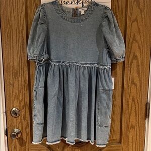 Forever 21 Blue Denim Mini Dress